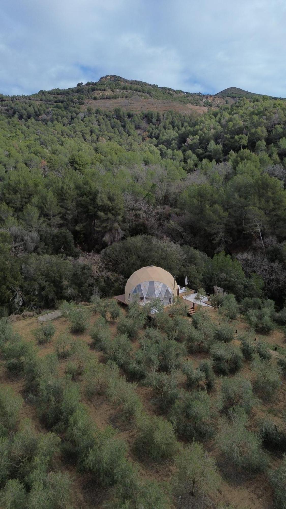 Domo Suites Masia Cal Geperut Μπαδαλόνα Εξωτερικό φωτογραφία